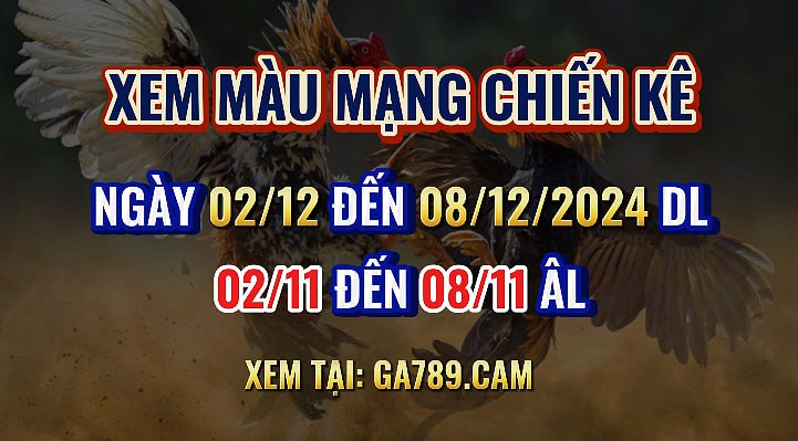 Màu Mạng Gà Đá 02/12 đến 08/12/2024