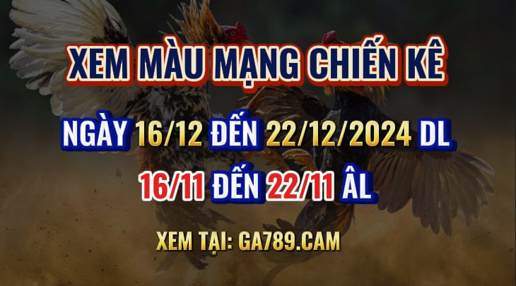 Màu Mạng Gà Đá 16/12 đến 22/12/2024