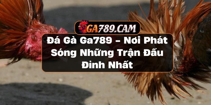 Đá Gà 789